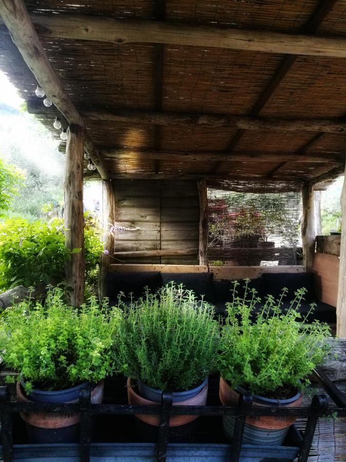 Agriturismo Tananei Marliana Eksteriør billede