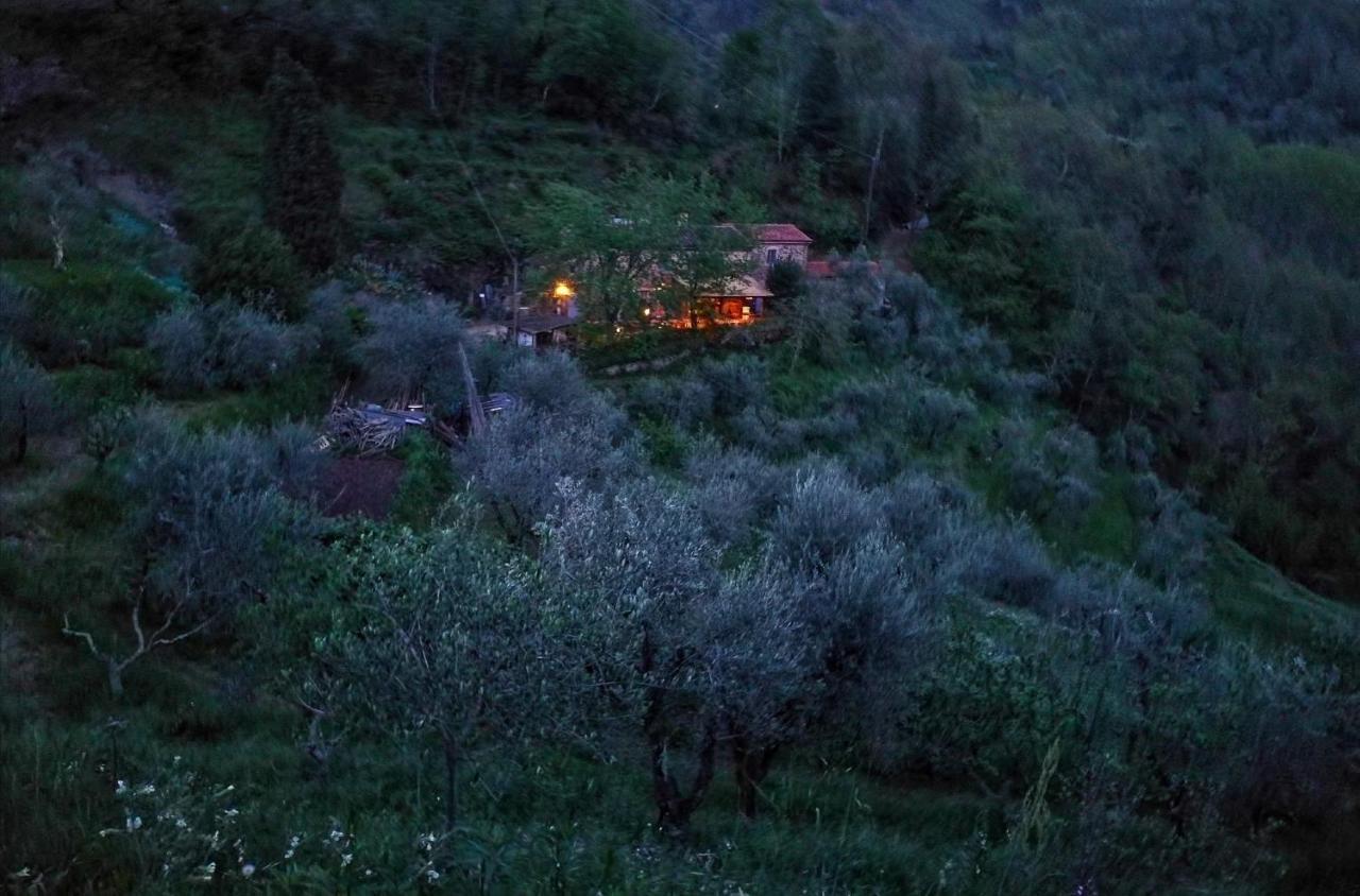 Agriturismo Tananei Marliana Eksteriør billede
