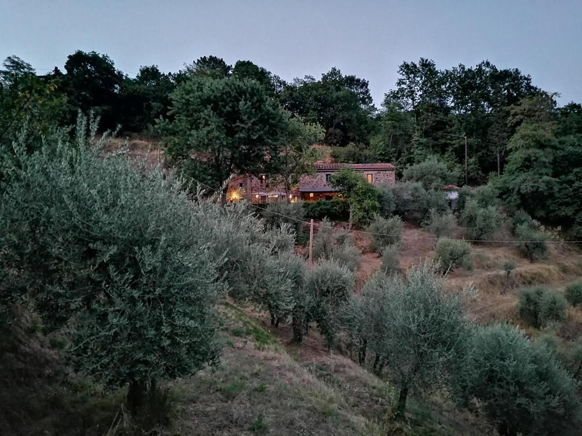 Agriturismo Tananei Marliana Eksteriør billede