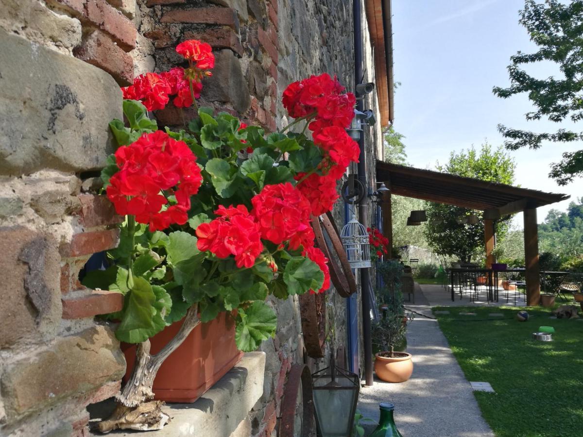 Agriturismo Tananei Marliana Eksteriør billede