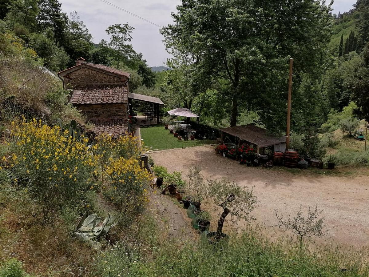 Agriturismo Tananei Marliana Eksteriør billede