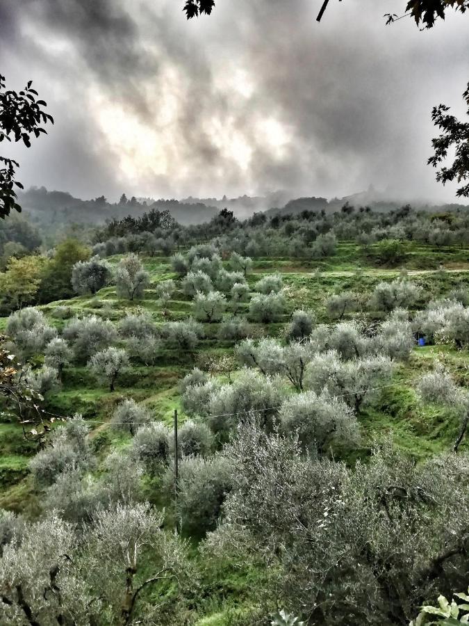 Agriturismo Tananei Marliana Eksteriør billede