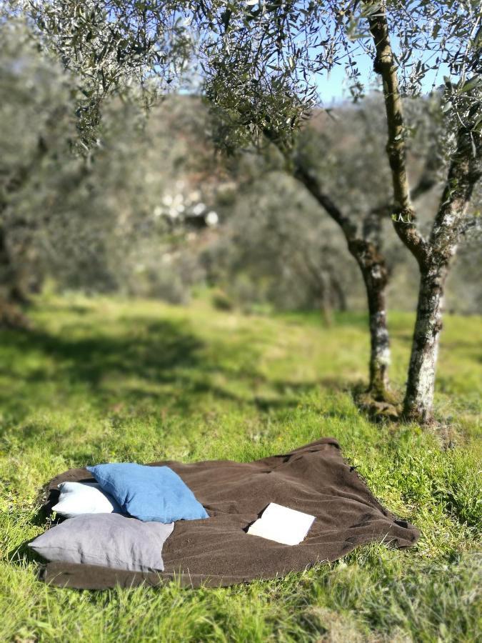Agriturismo Tananei Marliana Eksteriør billede