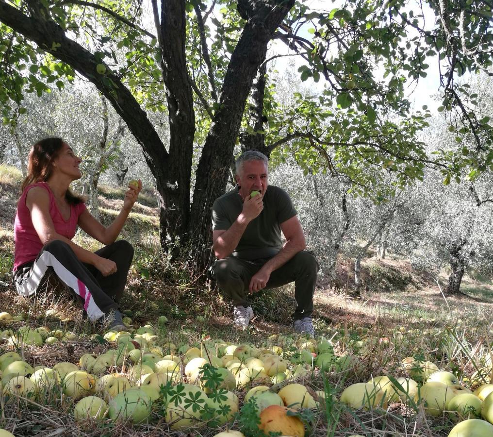 Agriturismo Tananei Marliana Eksteriør billede